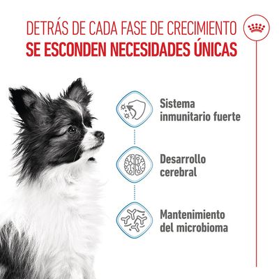Royal Canin X-Small Puppy