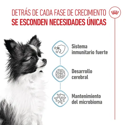 Royal Canin X-Small Puppy - 3 kg