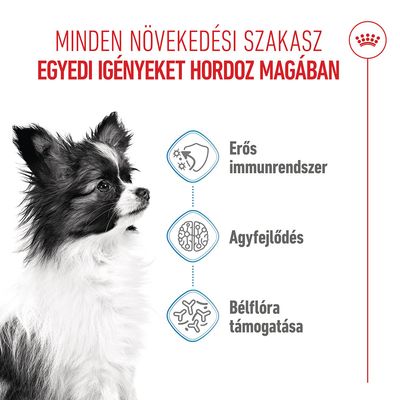 Royal Canin Puppy X-Small, kölyökkutyáknak 2-10 hónapos korig, 4 kg-ig. Támogatja az immunrendszert és az agy fejlődését. A csomagoláson kis kutya és termékinformációk láthatók.