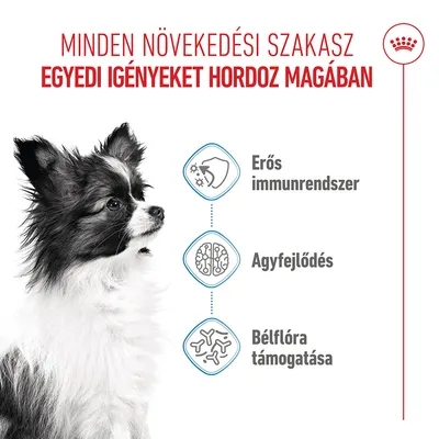Royal Canin X-Small Puppy - 3 kg