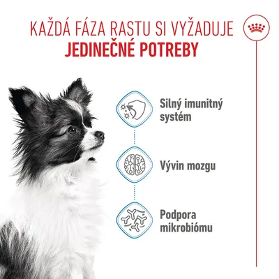 Royal Canin X-Small Puppy - výhodné balenie: 2 x 3 kg