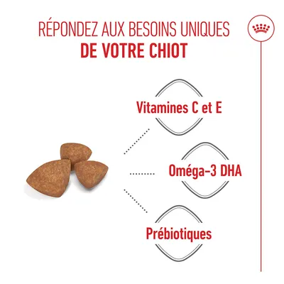 Image de croquettes avec indications sur la présence de vitamines C et E, d’oméga-3 DHA et de prébiotiques. Texte : Répondez aux besoins uniques de votre chiot.