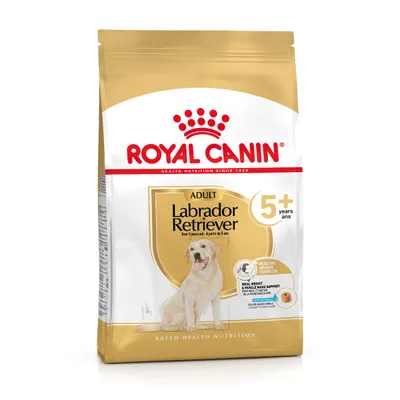 Royal Canin Adult Labrador Retriever 5+ torrfoder, för hundar över 5 år. Synlig text: 'HEALTHY AGEING COMPLEX', 'IDEAL WEIGHT & MUSCLE MASS SUPPORT'. Bild på labrador retriever.