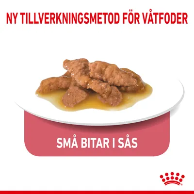 Ny tillverkningsmetod för våtfoder. Små bitar i sås visas på en tallrik.