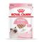 Royal Canin Kitten paté 12 x 85 g