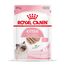 Royal Canin Kitten Mousse 12 x 85 g
