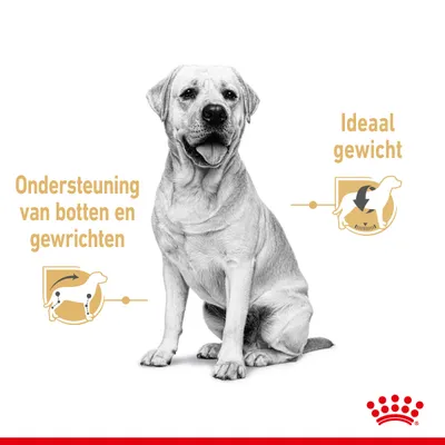 Zittende hond met tekst: 'Ondersteuning van botten en gewrichten' en 'Ideaal gewicht', met bijbehorende illustraties. Royal Canin kroon symbool onderaan.