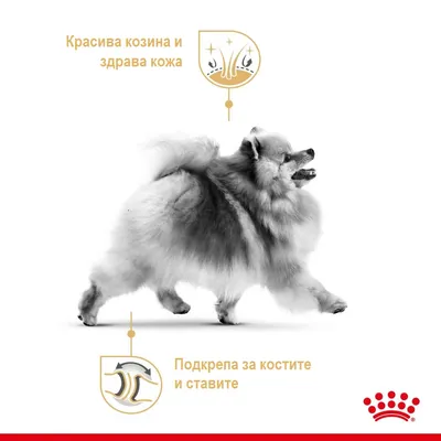 Красива козина и здрава кожа. Подкрепа за костите и ставите.