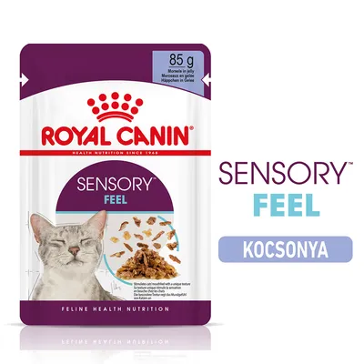 ROYAL CANIN SENSORY FEEL macskaeledel 85 g, kocsonya. Csomagoláson macska képe és eledel darabok láthatók. Felirat: SENSORY FEEL KOCSONYA.