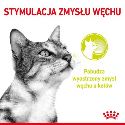 STYMULACJA ZMYSŁU WĘCHU. Pobudza wyostrzony zmysł węchu u kotów. Grafika kota i symbol talerza z jedzeniem. Royal Canin.