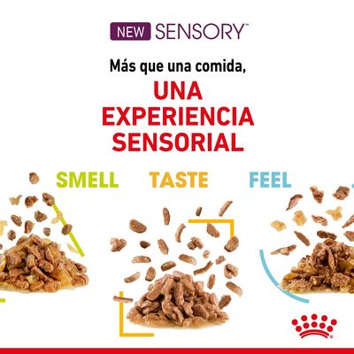 Texto: NEW SENSORY. Más que una comida, UNA EXPERIENCIA SENSORIAL. SMELL, TASTE, FEEL. Tres montones de comida húmeda para mascotas con trozos y salsa.