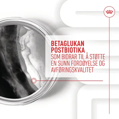 Royal Canin Puppy Immunity & Digestion Chews kosttilskudd