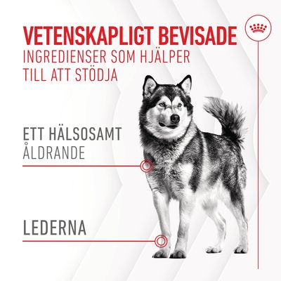 Vetenskapligt bevisade ingredienser som hjälper till att stödja ett hälsosamt åldrande och lederna. Text och illustration av hund.