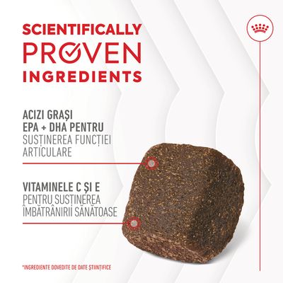 Text în engleză: Scientifically Proven Ingredients. Acizi grași EPA + DHA pentru susținerea funcției articulare. Vitaminele C și E pentru susținerea îmbătrânirii sănătoase.