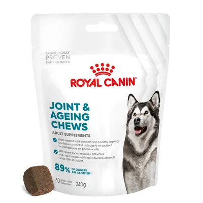 Royal Canin Joint & Ageing Chews adult supplements, supports joint comfort and healthy ageing, with green-lipped mussel, EPA and DHA. 89% of owners are satisfied. 60 pieces, 240g.