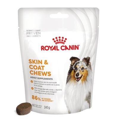 ROYAL CANIN Skin & Coat Chews Adult Supplements, 86% of owners are satisfied, 60 stuks, 240 g. Met omega-3&6 vetzuren en vitaminen. Hond afgebeeld op verpakking.