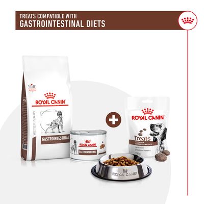 Treats compatible with gastrointestinal diets. Image shows Royal Canin gastrointestinal dry food, wet food, treats and a bowl of kibble.