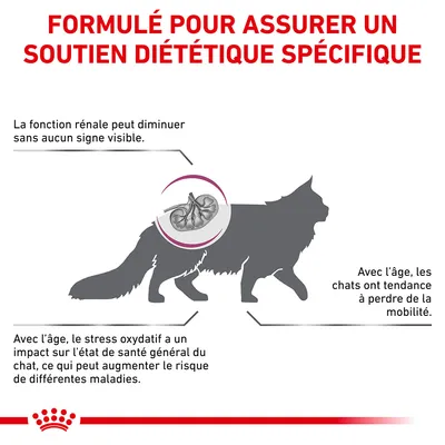 Formulé pour assurer un soutien diététique spécifique. Fonction rénale peut diminuer sans signe visible. Avec l’âge, perte de mobilité et stress oxydatif augmentent les risques de maladies chez le chat.