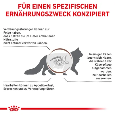 Текст на немецком: FÜR EINEN SPEZIFISCHEN ERNÄHRUNGSZWECK KONZIPIERT. Описание пищеварения кошки, проблемы с усвоением питательных веществ и образованием комков шерсти.