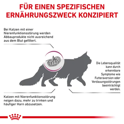 Texte en allemand : Für einen spezifischen Ernährungszweck konzipiert. Explications sur les troubles rénaux chez le chat, symptômes et impact sur la qualité de vie. Illustration d’un chat.