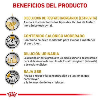 Beneficios del producto: disolución de fosfato inorgánico (estruvita), contenido calórico moderado, dilución urinaria y baja SSR. Texto explicativo bajo cada beneficio.