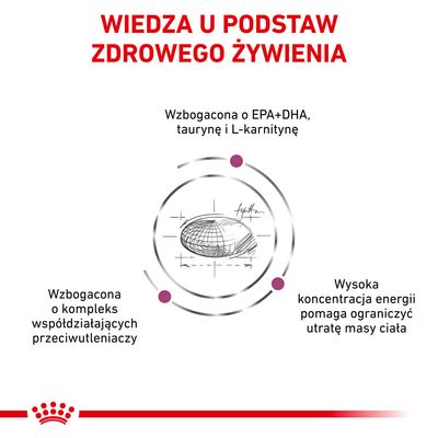 WIEDZA U PODSTAW ZDROWEGO ŻYWIENIA. Wzbogacona o EPA+DHA, taurynę i L-karnitynę. Kompleks przeciwutleniaczy. Wysoka koncentracja energii pomaga ograniczyć utratę masy ciała.