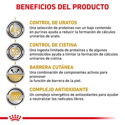 Beneficios del producto: control de uratos, control de cistina, barrera cutánea y complejo antioxidante con descripciones detalladas de cada beneficio en español.
