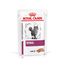 Royal Canin Veterinary Feline Renal Mousse 12 x 85 g