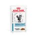 Royal Canin Skin & Coat Feline Veterinary umido gatto 12 x 85 g