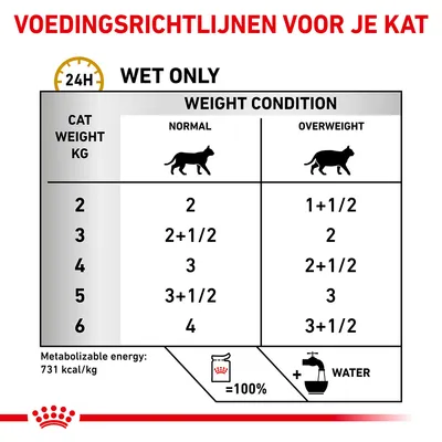 Voedingsrichtlijnen voor katten: tabel met aanbevolen dagelijkse porties natvoer per gewicht (2–6 kg) en conditie (normaal of overgewicht). Metaboliseerbare energie: 731 kcal/kg.