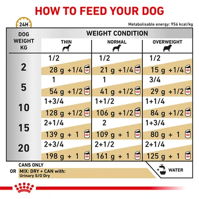 Feeding guide table showing daily food amounts for dogs by weight and condition: thin, normal, overweight. Includes grams and can portions for 2–20kg dogs, with dry and wet mix options.