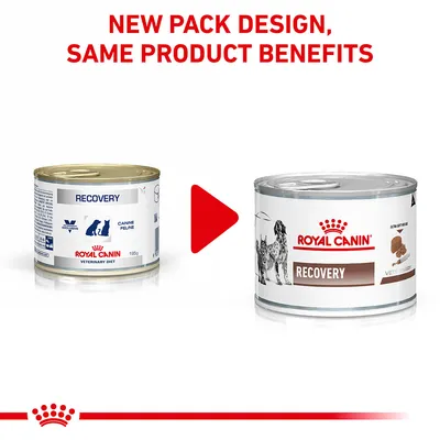 Image shows new pack design for Royal Canin Recovery with unchanged product benefits. Old and new packaging displayed side by side with an arrow indicating the update.