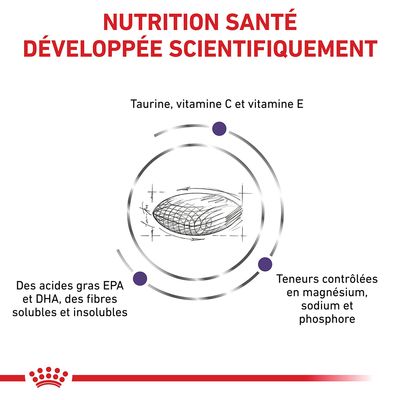 NUTRITION SANTÉ DÉVELOPPÉE SCIENTIFIQUEMENT. Taurine, vitamine C et E. Acides gras EPA et DHA, fibres solubles et insolubles. Teneurs contrôlées en magnésium, sodium et phosphore.