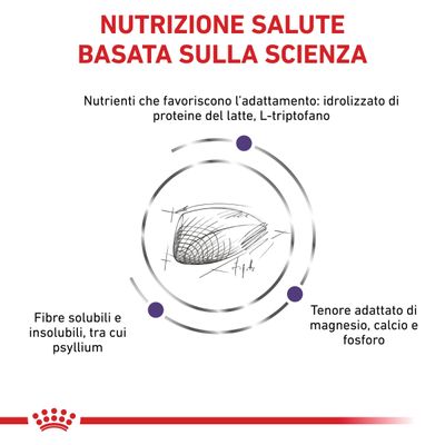 Nutrizione salute basata sulla scienza. Idrolizzato di proteine del latte, L-triptofano, fibre solubili e insolubili tra cui psyllium, tenore adattato di magnesio, calcio e fosforo.