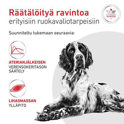 Grafiikka, jossa teksti: Räätälöity ravinto erityisiin ravitsemustarpeisiin, tukee verensokerin säätelyä aterian jälkeen ja lihasmassan säilymistä. Kuvassa koira.