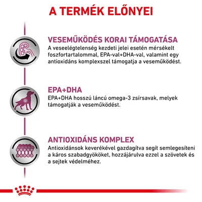A TERMÉK ELŐNYEI: VESEMŰKÖDÉS KORAI TÁMOGATÁSA, EPA+DHA, ANTIOXIDÁNS KOMPLEX. Részletes leírás a veseműködés támogatásáról, omega-3 zsírsavakról és antioxidánsokról.