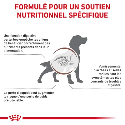 Formulé pour un soutien nutritionnel spécifique. Fonction digestive perturbée, vomissements, diarrhées, selles molles et perte d’appétit chez le chien. Texte en français.