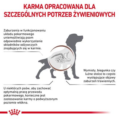 Karma opracowana dla szczególnych potrzeb żywieniowych. Informacje o zaburzeniach trawienia u psów, objawach i konieczności stosowania karmy z podwyższonym poziomem włókna.