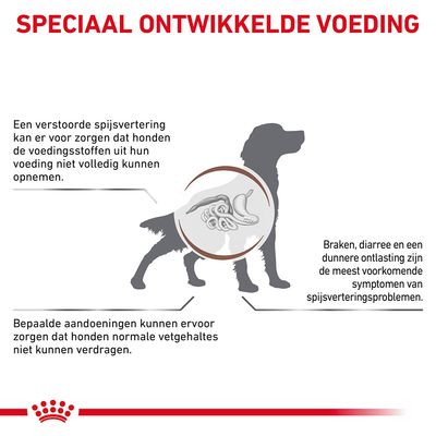Speciaal ontwikkelde voeding. Tekst: verstoorde spijsvertering belemmert opname voedingsstoffen, braken/diarree/dunne ontlasting zijn symptomen, sommige honden verdragen vetgehaltes niet.