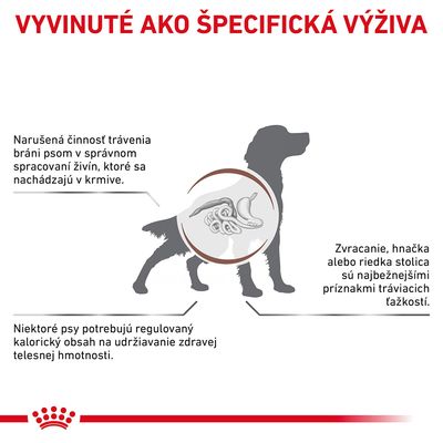 Vyvinuté ako špecifická výživa. Narušená činnosť trávenia bráni psom v spracovaní živín. Zvracanie, hnačka alebo riedka stolica sú príznaky tráviacich ťažkostí. Niektoré psy potrebujú regulovaný kalorický obsah.