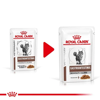 Две опаковки Royal Canin Veterinary Gastrointestinal Moderate Calorie за котки, показващи промяна в дизайна. Видим текст: Thin Slices in Gravy.