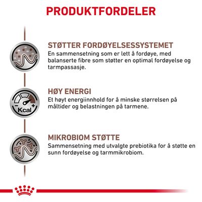 Royal Canin Veterinary Feline Gastrointestinal i saus