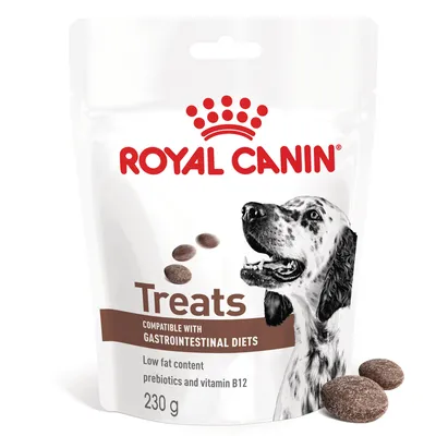 Royal Canin Treats, 230 g. Compatible with gastrointestinal diets, low fat content, prebiotics and vitamin B12. Kuvassa koira ja makupaloja.