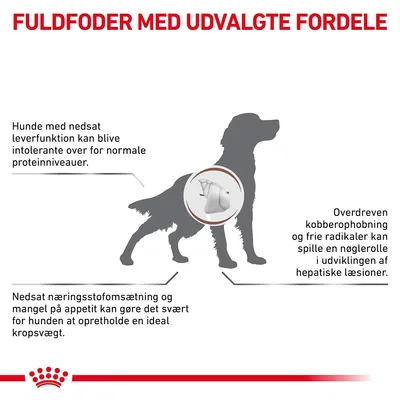 FULDFODER MED UDVALGTE FORDELE. Hunde med nedsat leverfunktion kan blive intolerante over for normale proteinniveauer. Nedsat næringsstofomsætning og appetit kan påvirke kropsvægt. Overdreven kobberophobning og frie radikaler kan spille en nøglerolle i udviklingen af hepatiske læsioner.