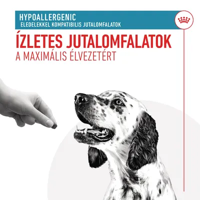 HYPOALLERGENIC ELEDELEKKEL KOMPATIBILIS JUTALOMFALATOK. ÍZLETES JUTALOMFALATOK A MAXIMÁLIS ÉLVEZETÉRT felirat, kutya és kéz jutalomfalattal látható.