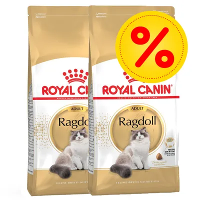 Royal Canin Adult Ragdoll -kuivaruokapakkaus kissoille, kaksi pussia ja keltainen alennusmerkki näkyvissä