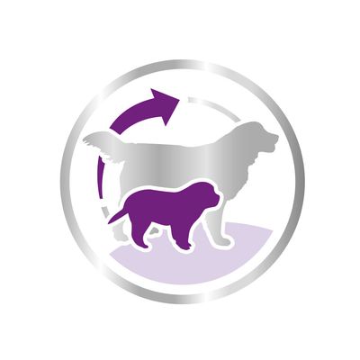 Royal Canin Giant Starter Mother & Babydog