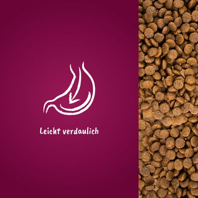 Symbol eines Magens mit Pfeil und Text 'Leicht verdaulich' neben einer Nahaufnahme von braunen Kroketten.