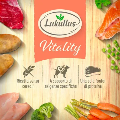 Lukullus Vitality Digestion Support Pollo - senza cereali - 6 x 400 g