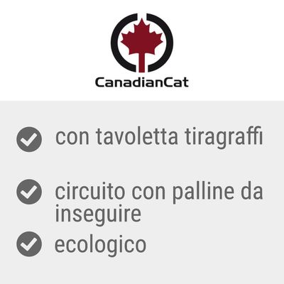 CanadianCat con tavoletta tiragraffi, circuito con palline da inseguire, ecologico